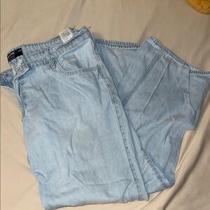 American Eagle Outfitters Light Wash Straight Leg Jeans - 16R